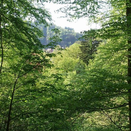 Pension/Bed And Breakfast Pangea Bad Lauterberg Bagian luar foto