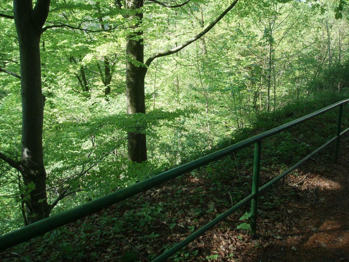 Pension/Bed And Breakfast Pangea Bad Lauterberg Bagian luar foto