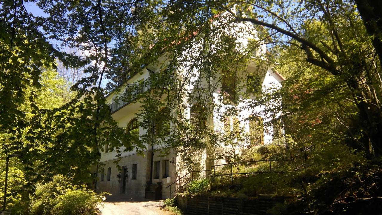 Pension/Bed And Breakfast Pangea Bad Lauterberg Bagian luar foto