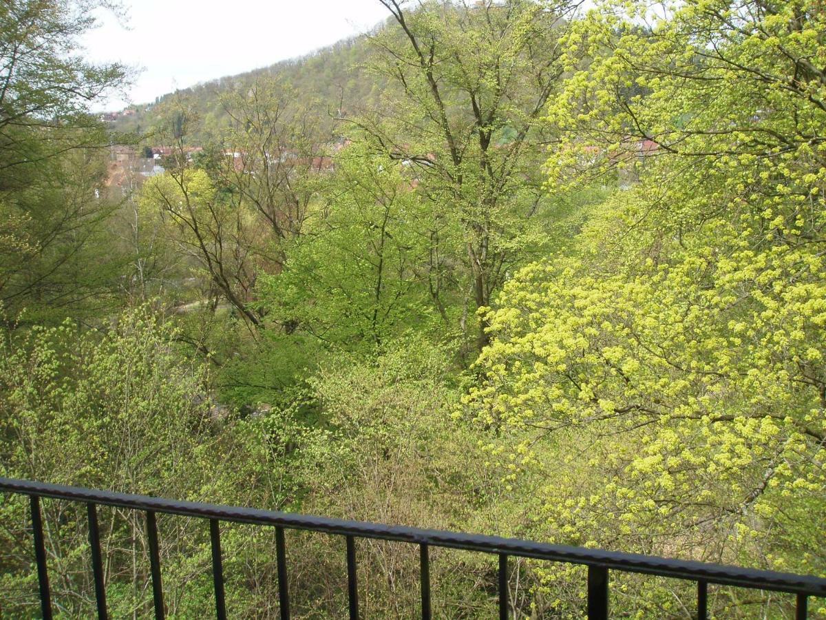 Pension/Bed And Breakfast Pangea Bad Lauterberg Bagian luar foto