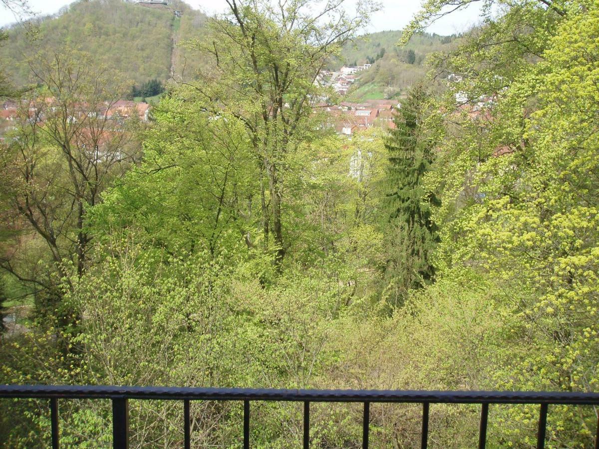 Pension/Bed And Breakfast Pangea Bad Lauterberg Bagian luar foto
